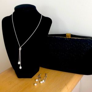 Beautiful vintage Evening Bag